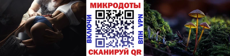 Псилоцибиновые грибы Psilocybe  Купить  Новотроицк 